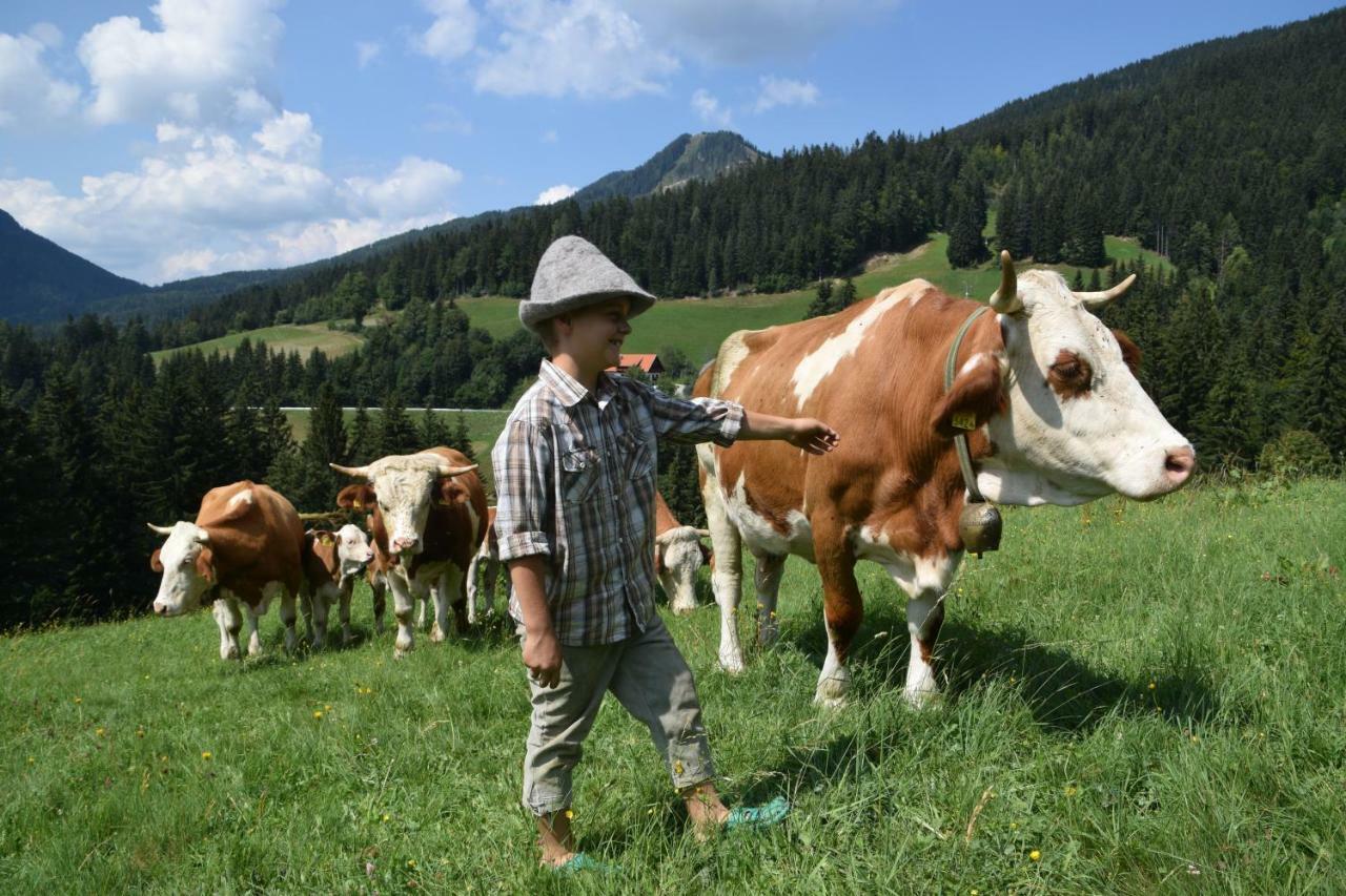 סולצאבה Farm Stay "Alpine Dreams" מראה חיצוני תמונה